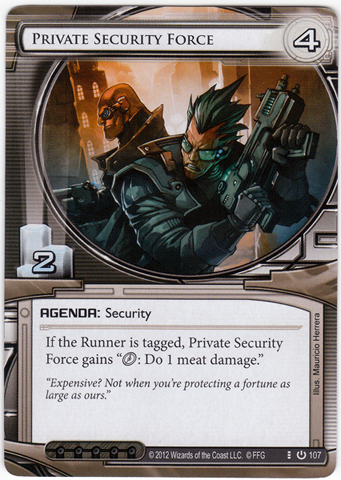 Private Security Force 